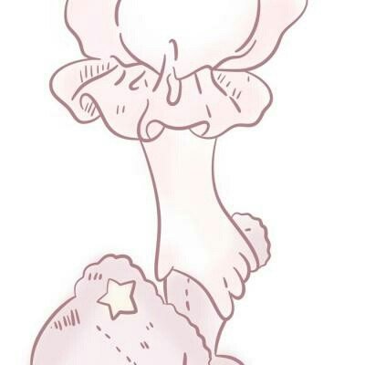 王艺迪vs温特